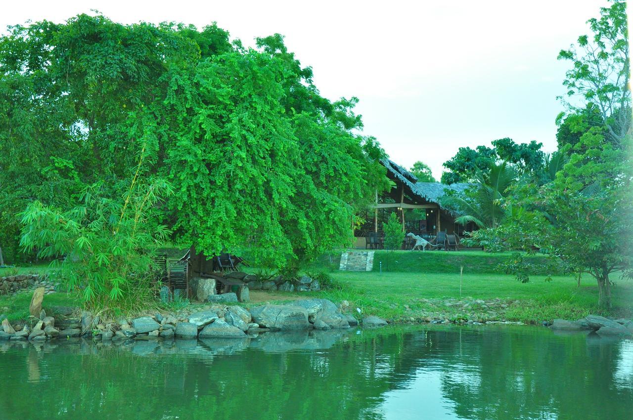 Thuduwa Camp Hotel Embilipitiya Exterior foto